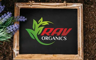 ravorganics logo ravorganics logo