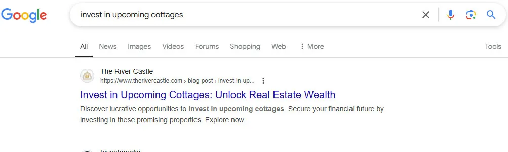 SEO Results