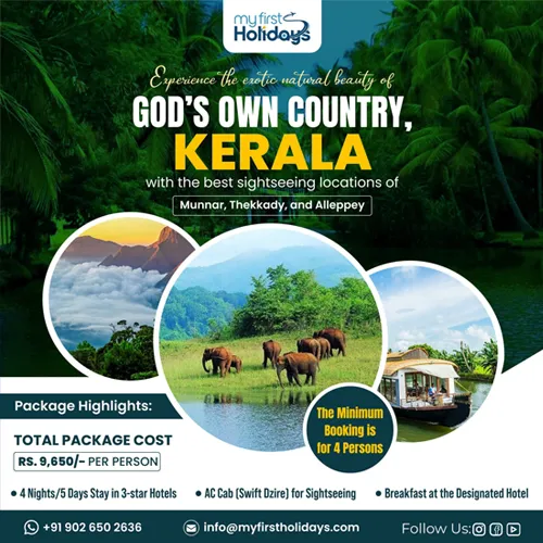 social media creative