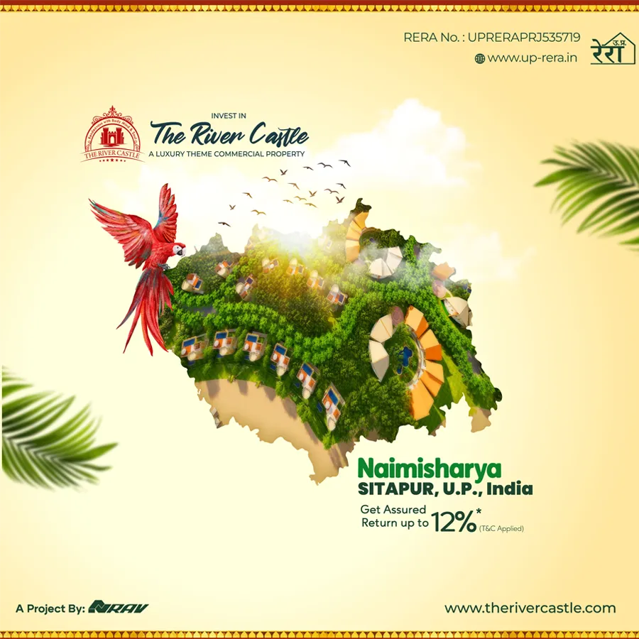 social media creative