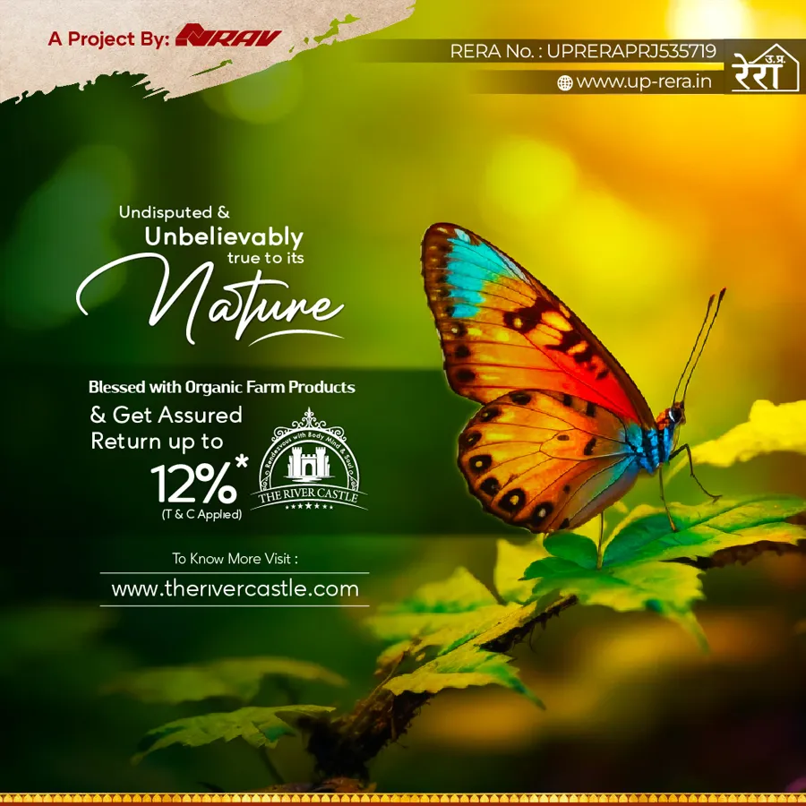 social media creative